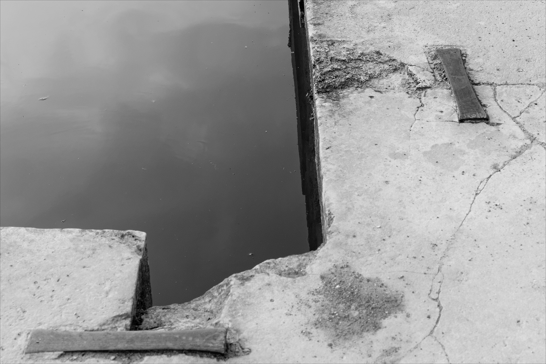 01/07/2012/Meudon, les étangs / panasonic DMC-fz30 / OLIVIER MERIJON